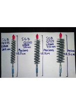  Brushes SGB Q075,Q100,Q175